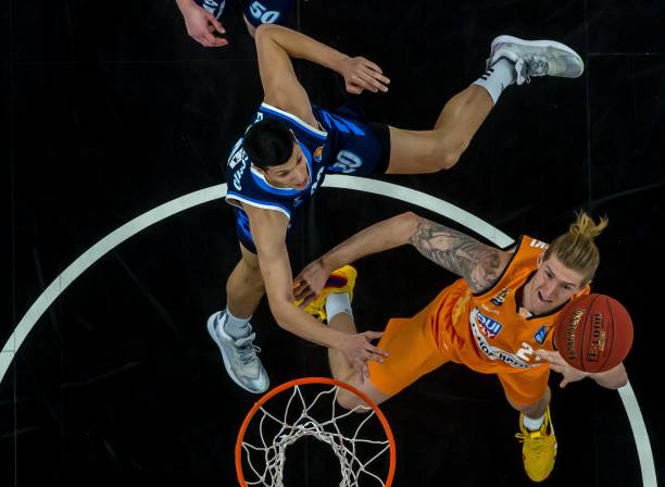 的残疾人树 的残疾人树